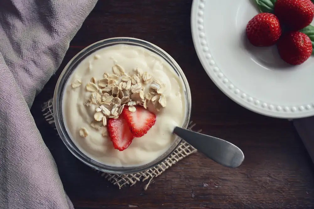 Protein Yogurt Recipe